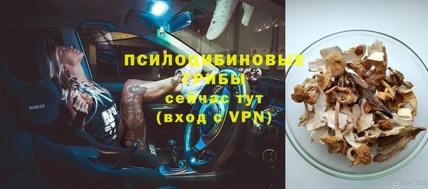 ПСИЛОЦИБИНОВЫЕ ГРИБЫ Алексин